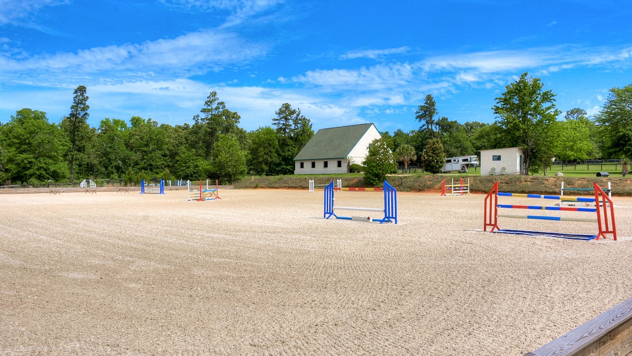 Photo of Others in Aiken