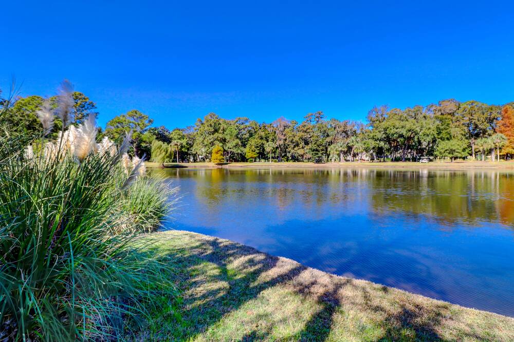 Photo of Outdoor in Palmetto Dunes