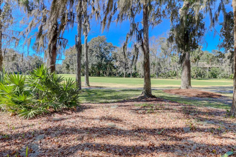 Photo of Outdoor in Palmetto Dunes