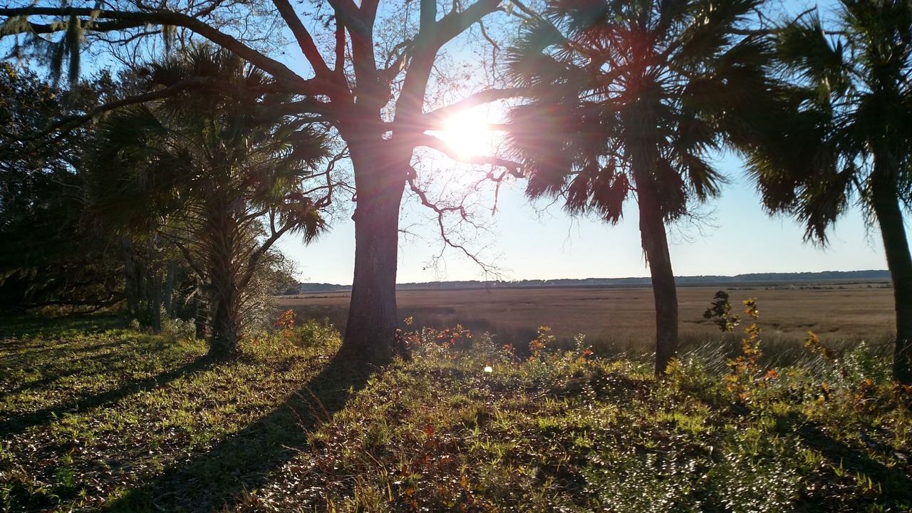 Photo of Outdoor in Green Pond