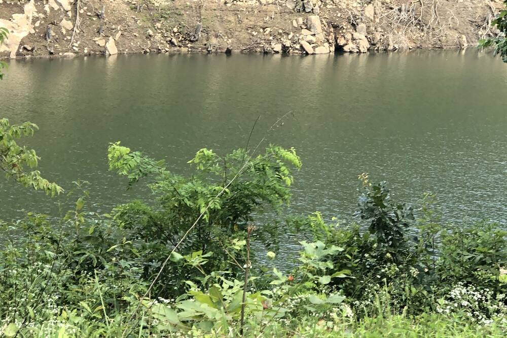 Photo of Others in Tuckasegee