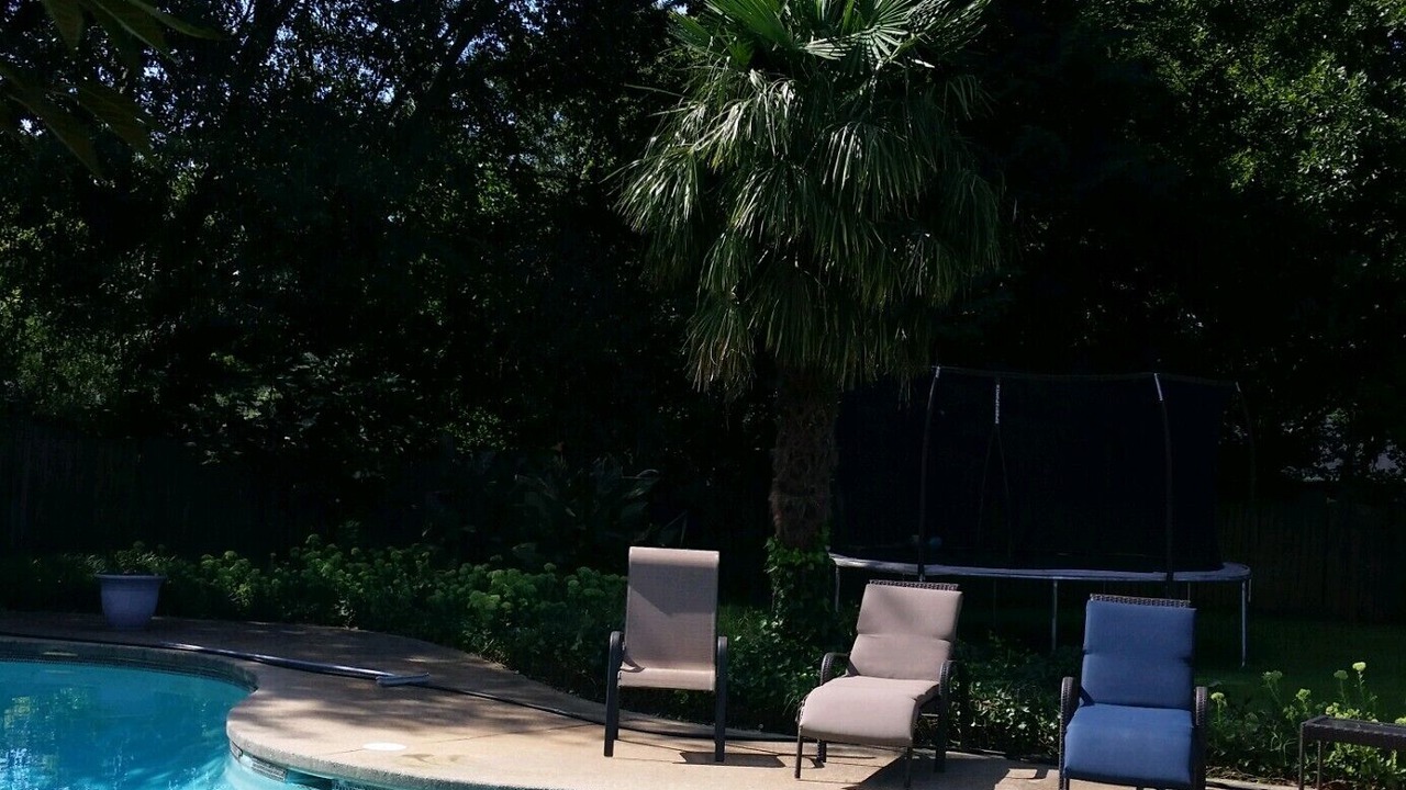 Photo of Outdoor in Greer