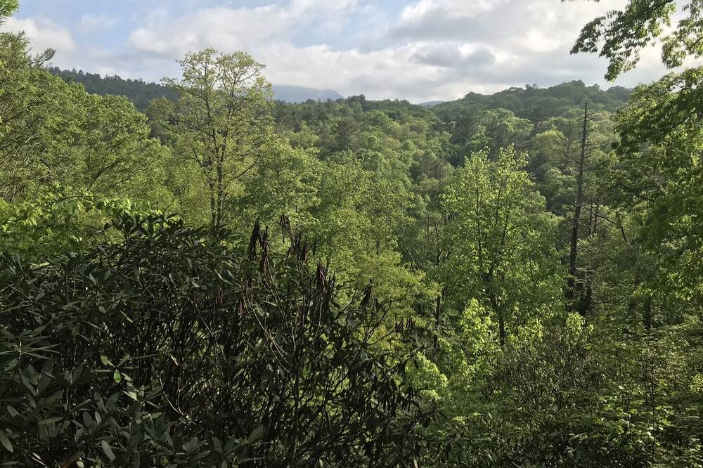 Photo of Others in Highlands Hills
