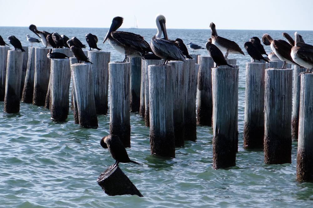 Photo of Others in Kings Lake