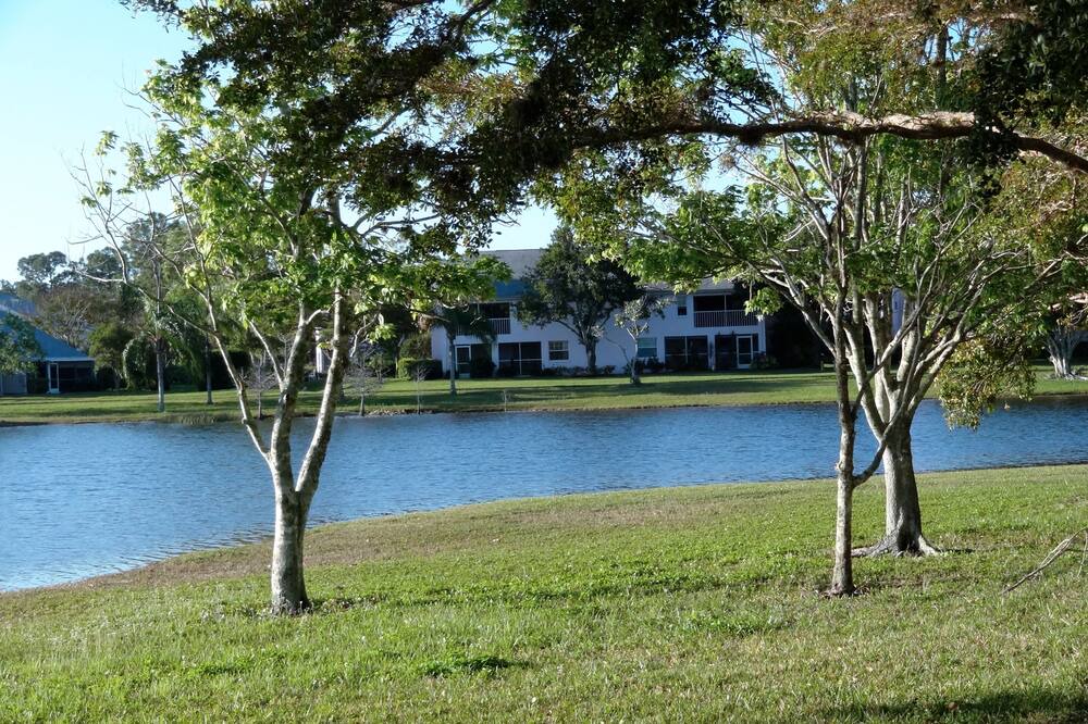 Photo of Outdoor in Kings Lake