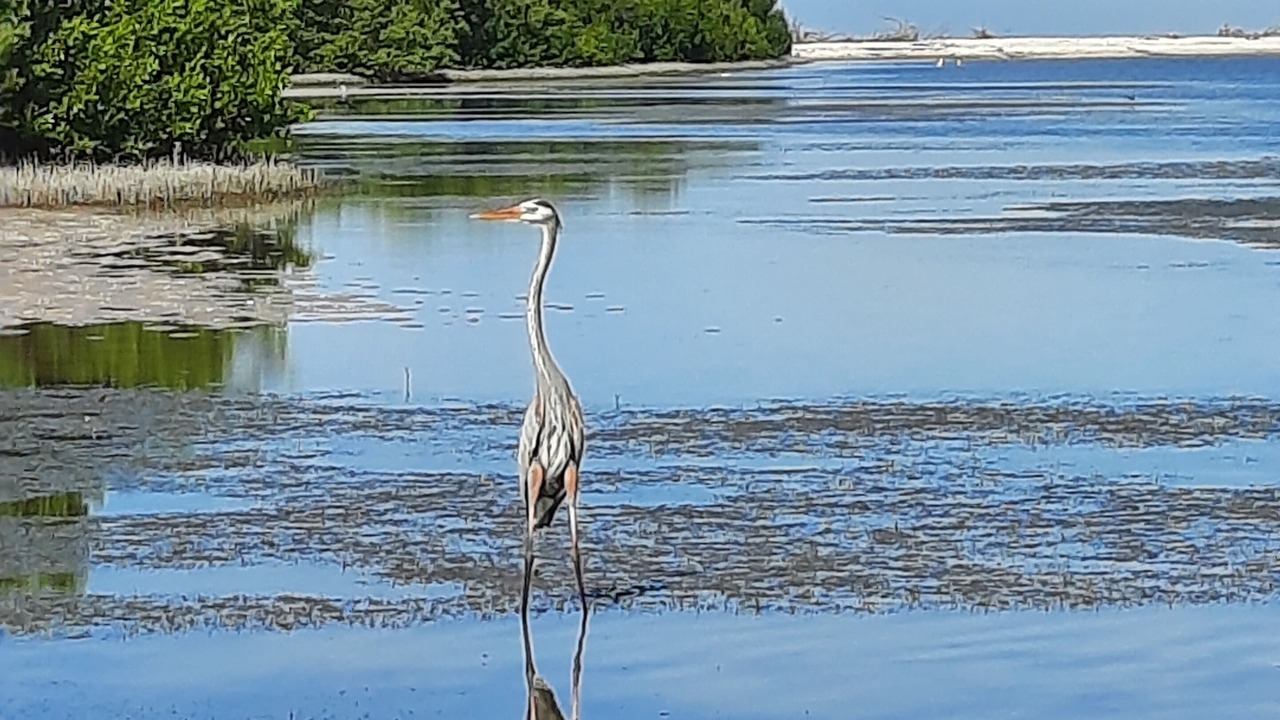 Photo of Others in Isles of Capri