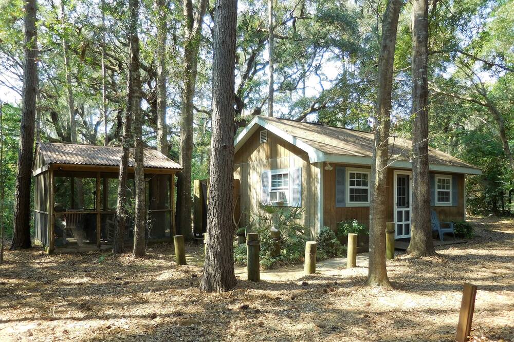 Photo of Outdoor in Edisto Island