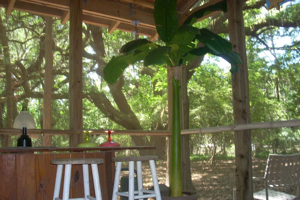 Photo of Others in Edisto Island
