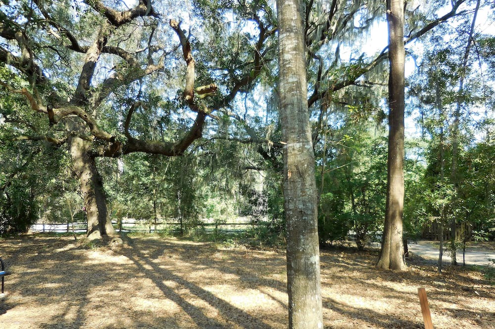 Photo of Others in Edisto Island