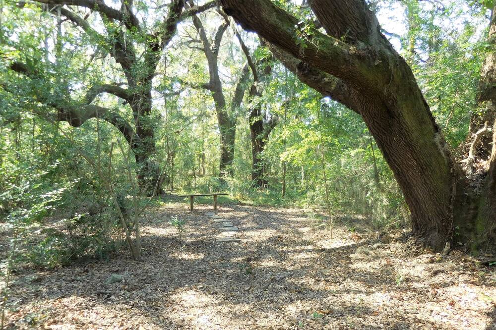 Photo of Others in Edisto Island