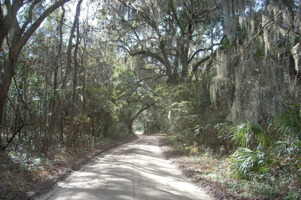 Photo of Others in Edisto Island
