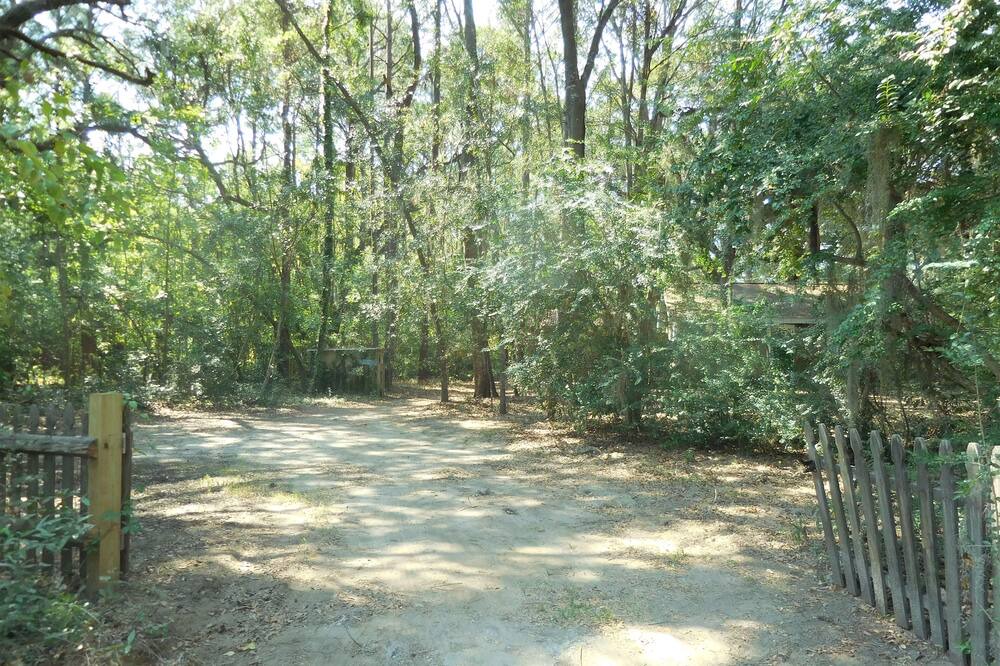 Photo of Others in Edisto Island