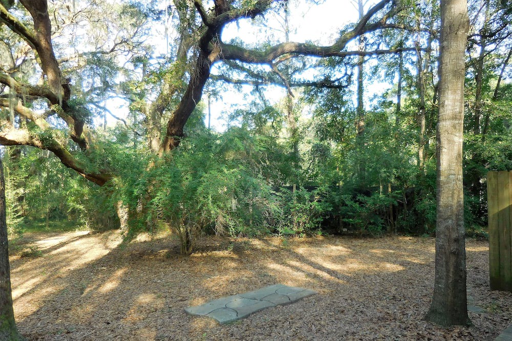 Photo of Others in Edisto Island