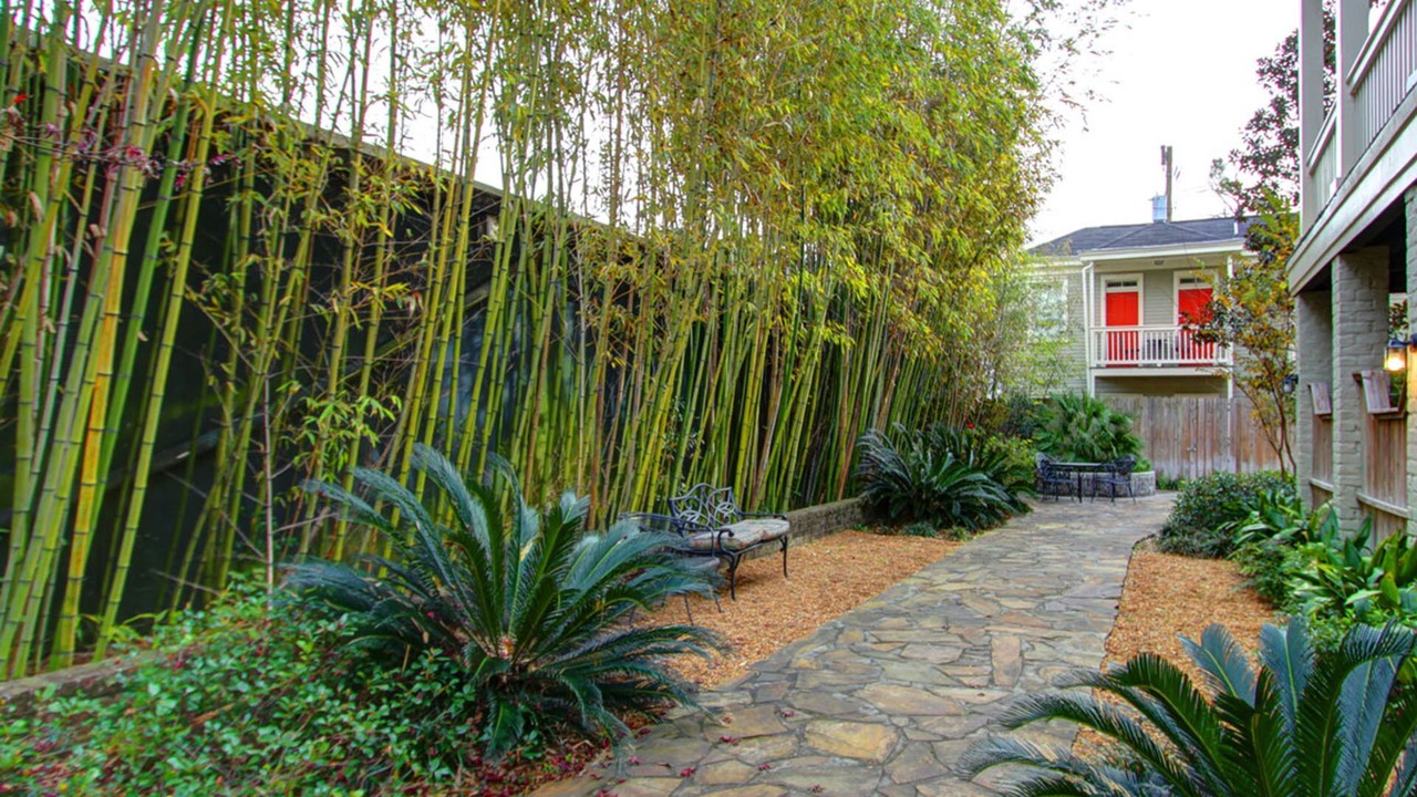 Photo of Outdoor in Metropolitan