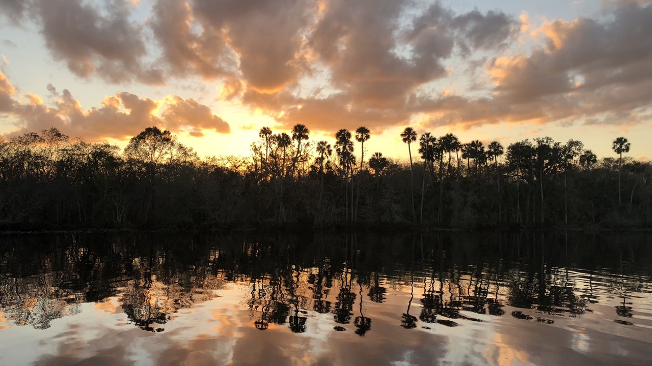 Photo of Outdoor in DeLand