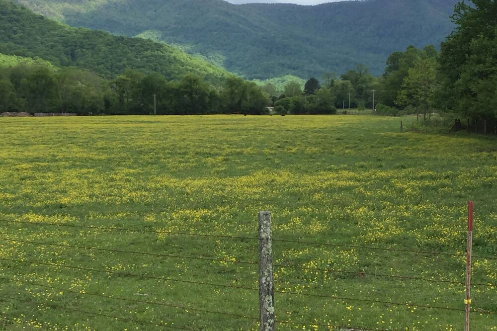 Photo of Others in Hayesville