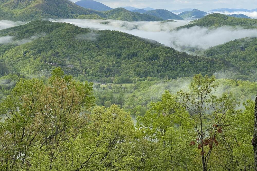Photo of Others in Hayesville