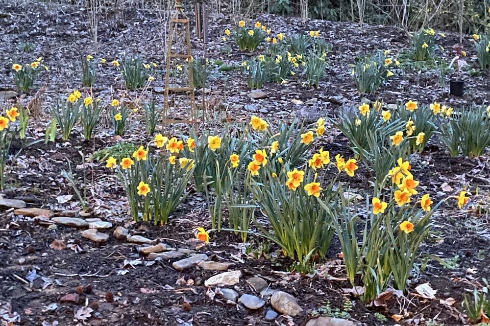 Photo of Outdoor in Hayesville