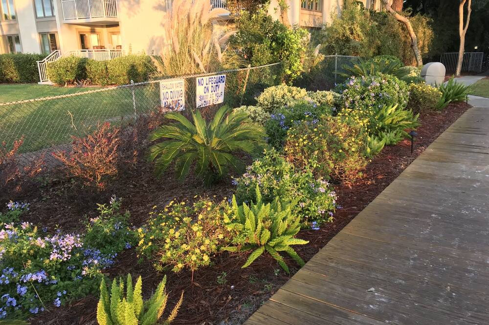 Photo of Outdoor in Hilton Head Island