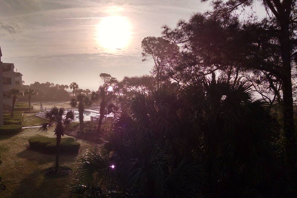 Photo of Others in Hilton Head Island