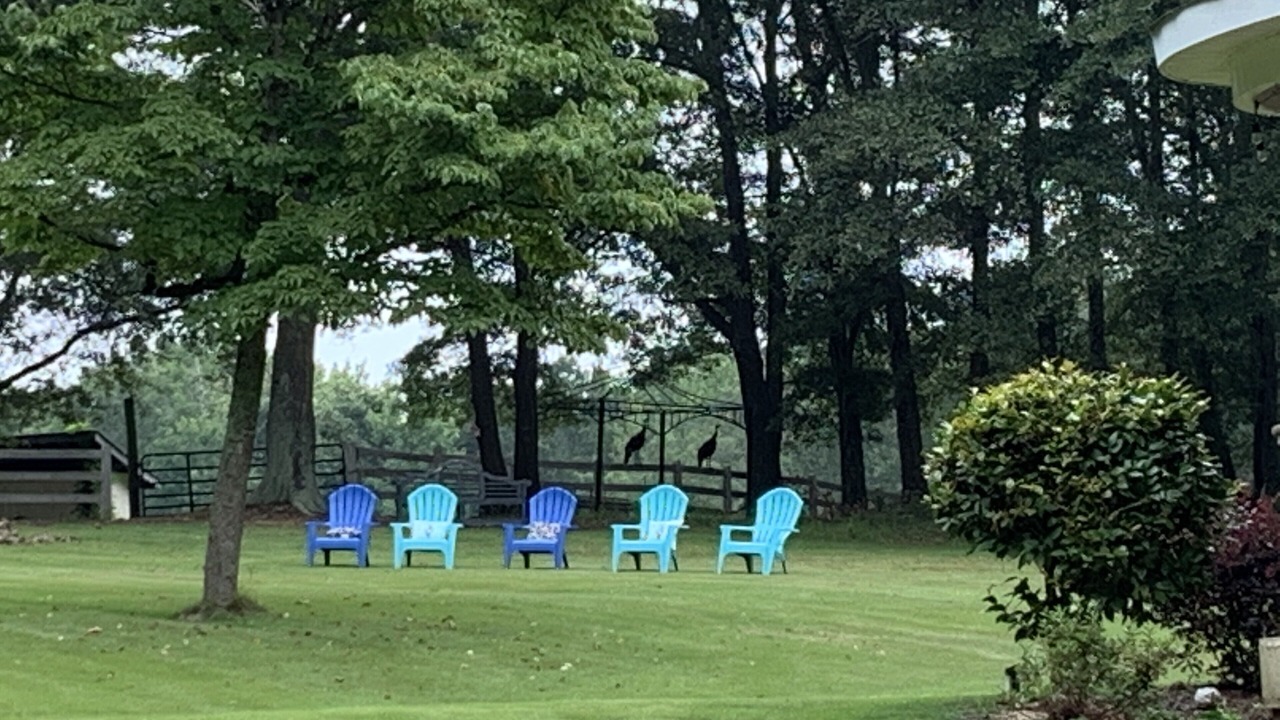 Photo of Others in Taylors