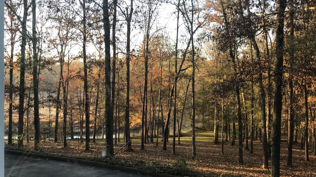 Photo of Outdoor in Taylors