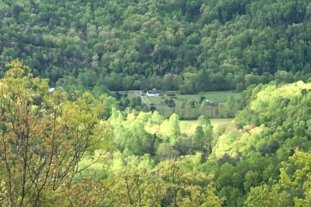 Photo of Others in Hayesville