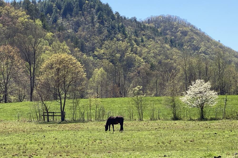 Photo of Outdoor in Hayesville