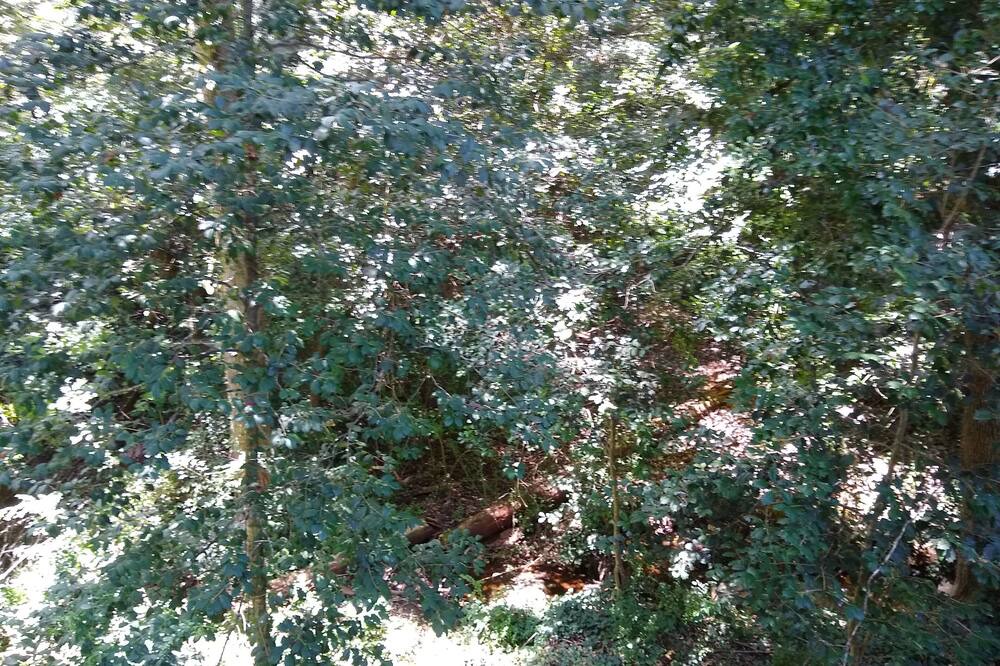 Photo of Outdoor in Lavonia