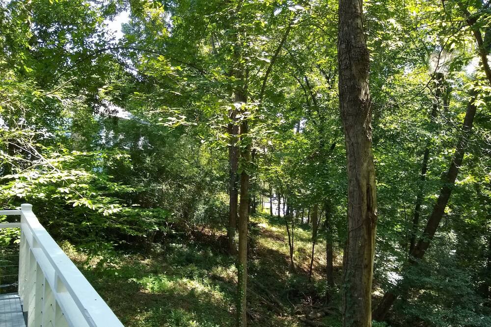 Photo of Outdoor in Lavonia