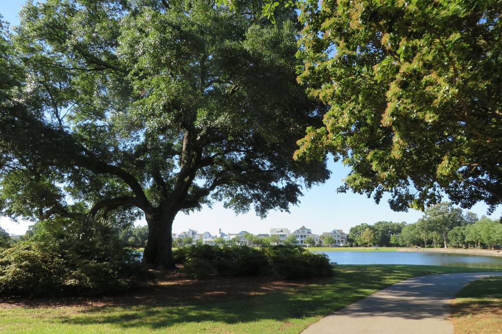 Photo of Others in Charleston