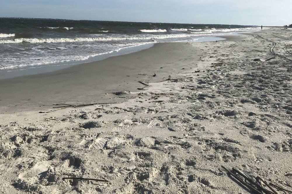 Photo of Others in Daufuskie Island