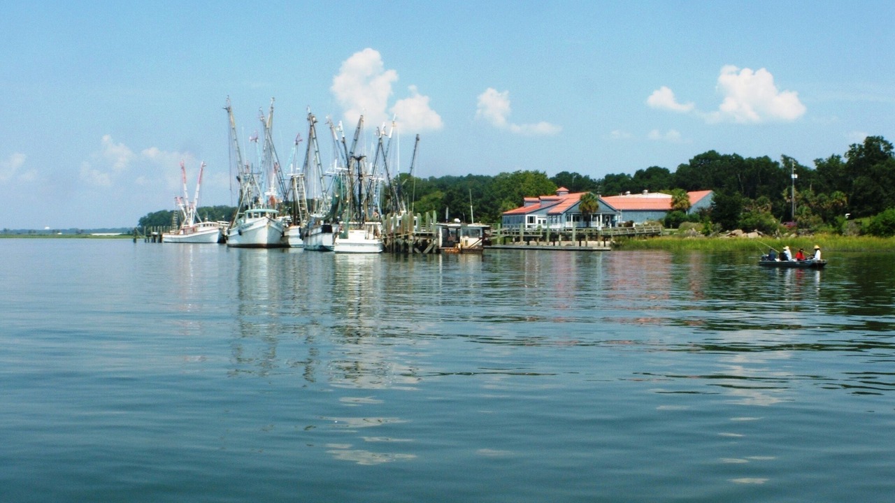 Photo of Outdoor in Port Royal
