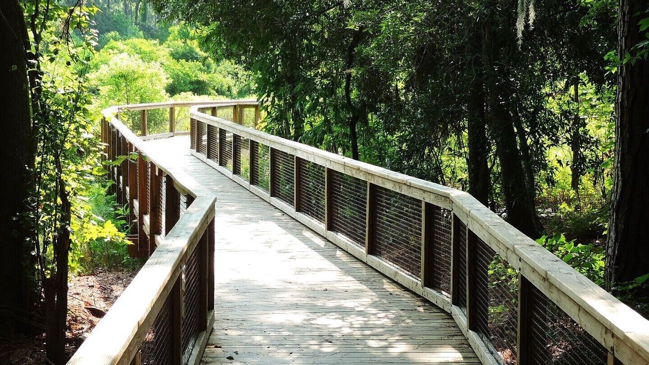 Photo of Outdoor in Port Royal