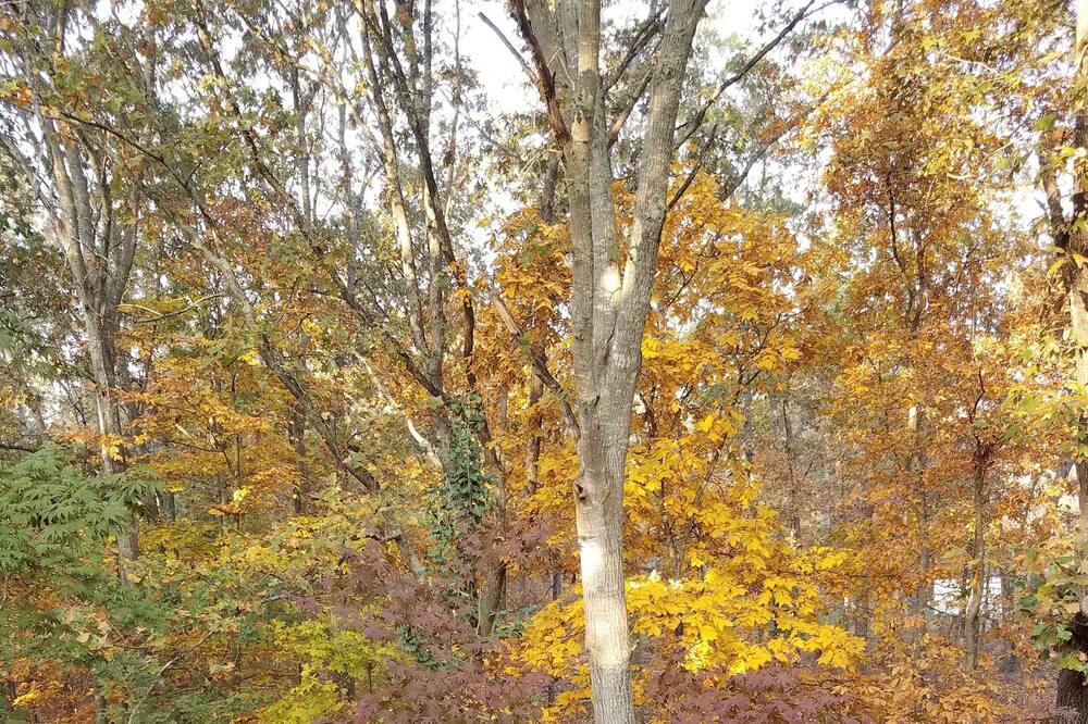Photo of Others in Seneca