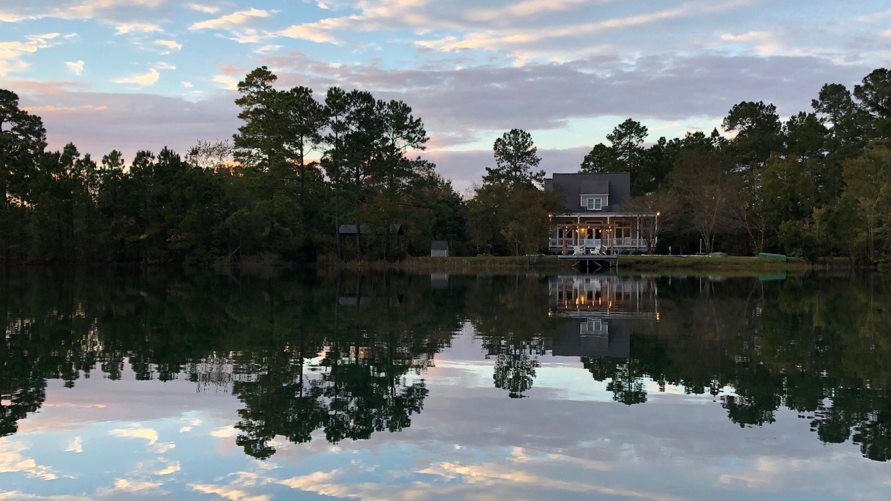 Photo of Outdoor in Loris
