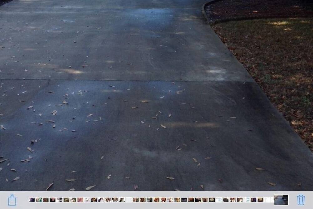 Photo of Others in Anderson