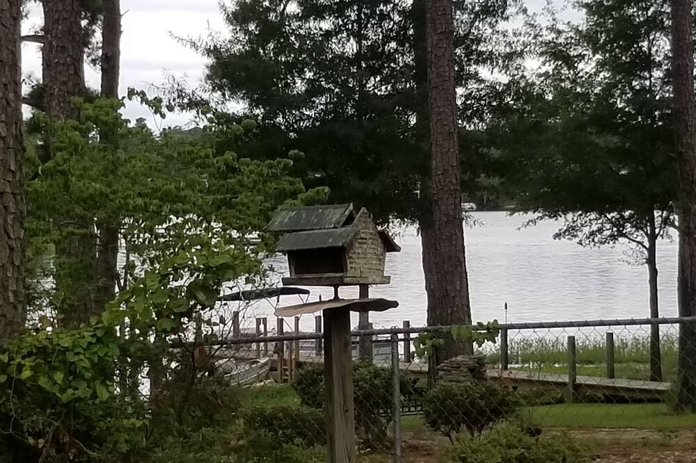 Photo of Outdoor in Lake Murray of Richland