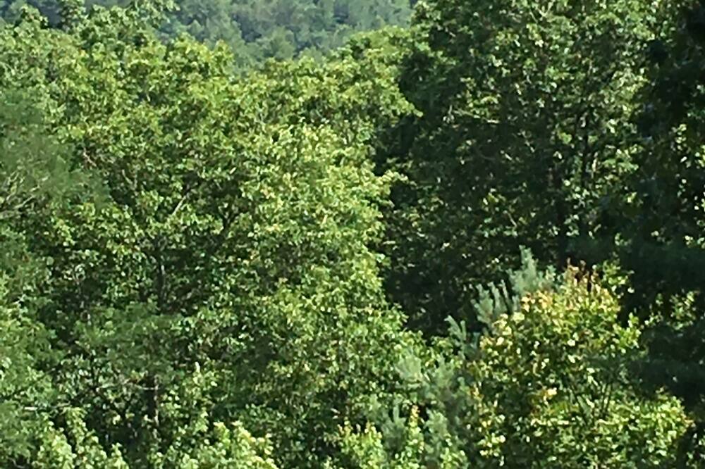 Photo of Outdoor in Penrose