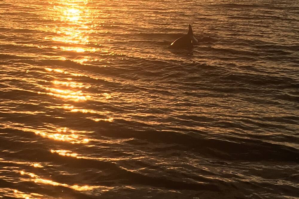 Photo of Others in South Beach