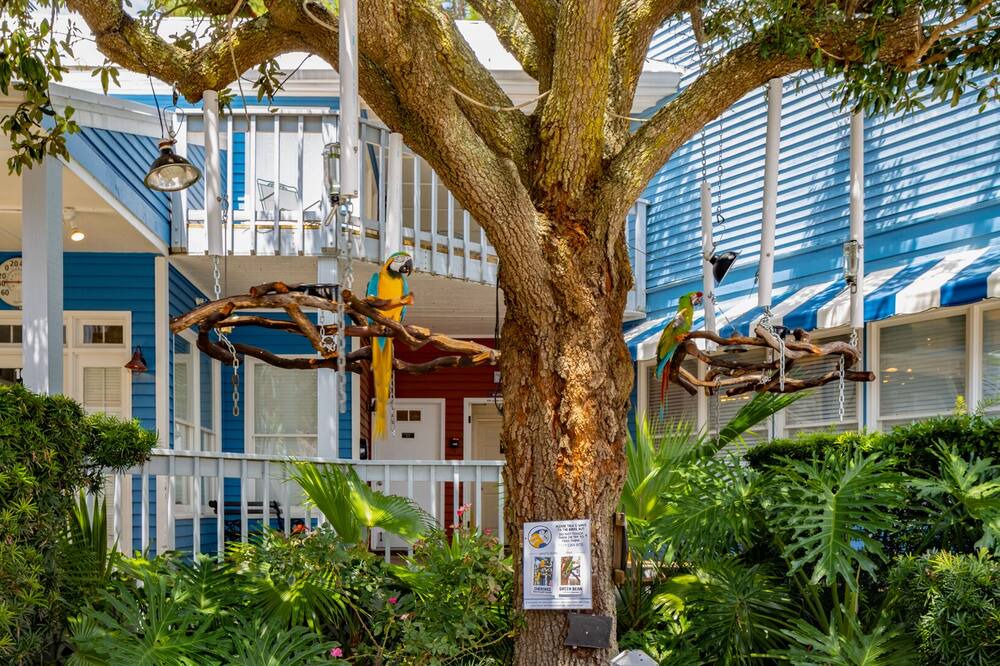 Photo of Outdoor in South Beach
