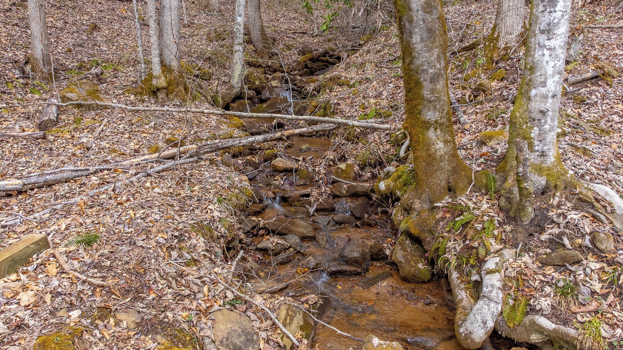 Photo of Others in Franklin