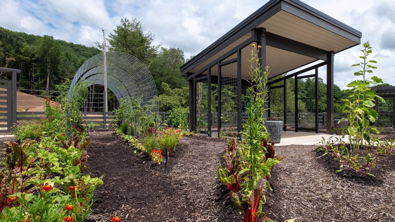 Photo of Outdoor in Balsam Grove