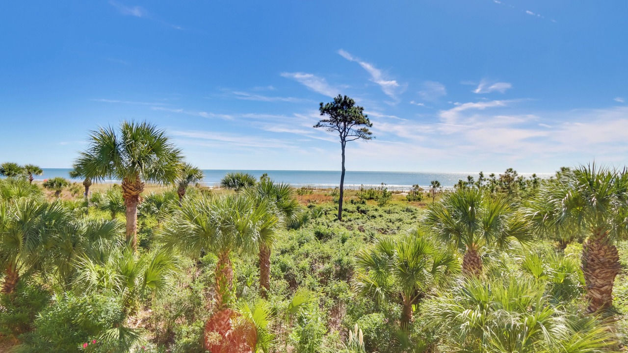 Photo of Others in North Forest Beach