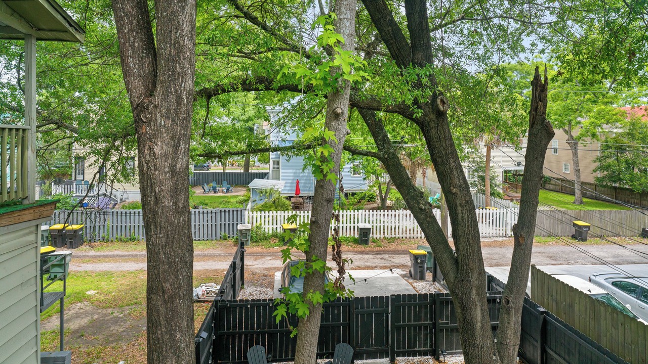 Photo of Outdoor in Dixon Park