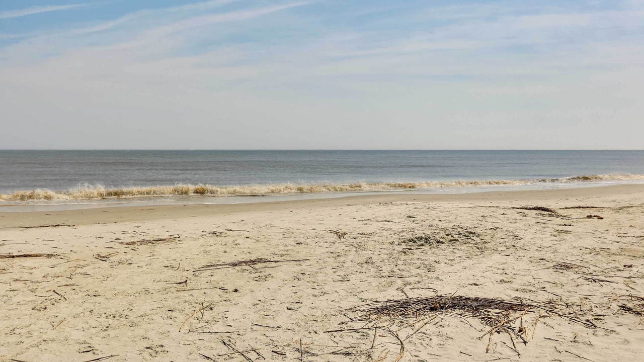 Photo of Others in Beaufort