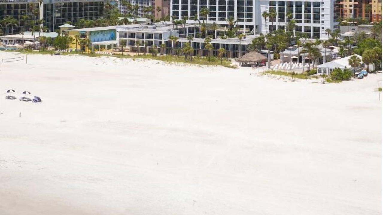 Photo of Others in St. Pete Beach