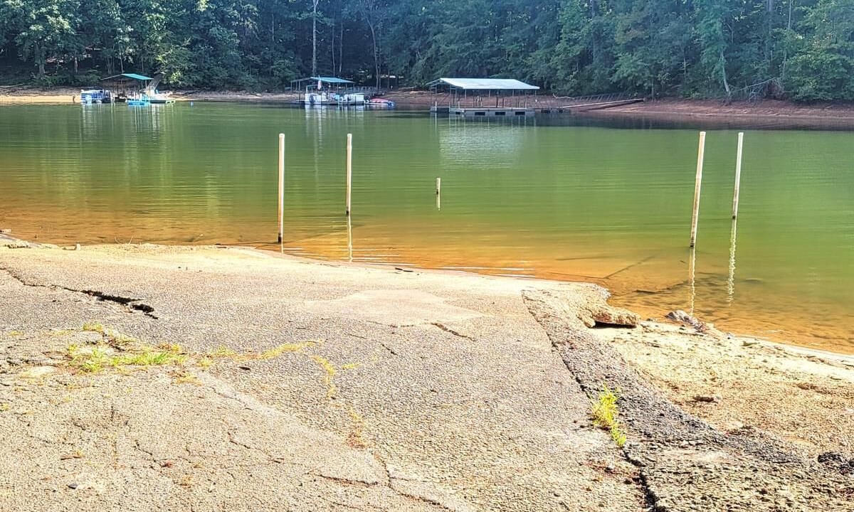 Photo of Others in Martin