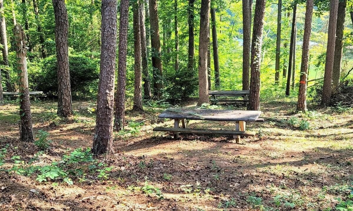 Photo of Outdoor in Martin