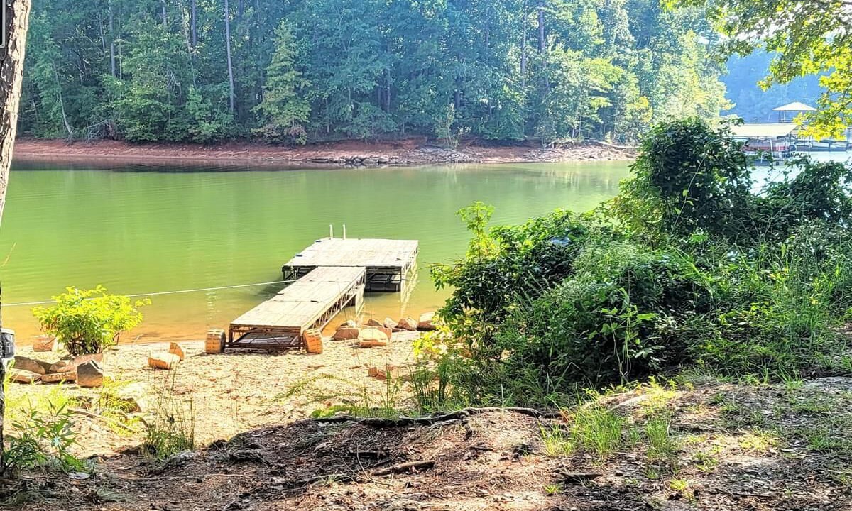 Photo of Others in Martin